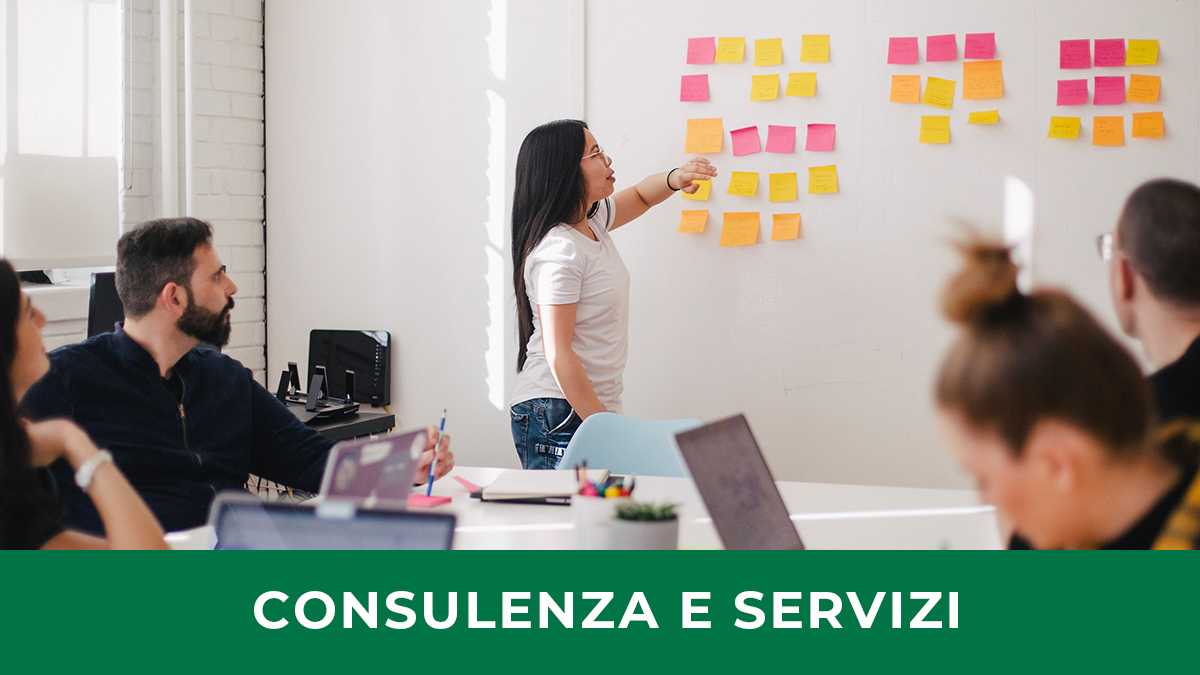 cONSULENZA-E-SERVIZI